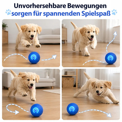 🔥 Intelligenter, selbstständig springender Hundeball 🐾 Hält Ihren Hund in Bewegung, regt zum Jagen an und sorgt für Beschäftigung – auch wenn Sie gerade keine Zeit haben.