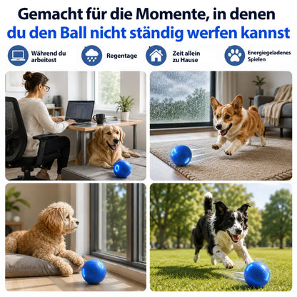 🔥 Intelligenter, selbstständig springender Hundeball 🐾 Hält Ihren Hund in Bewegung, regt zum Jagen an und sorgt für Beschäftigung – auch wenn Sie gerade keine Zeit haben.