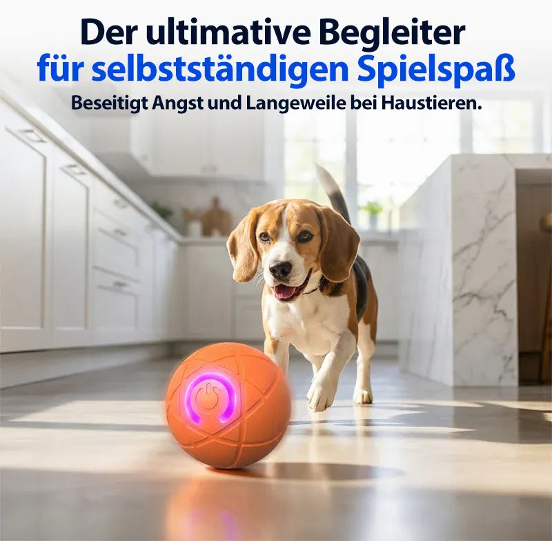 🔥 Intelligenter, selbstständig springender Hundeball 🐾 Hält Ihren Hund in Bewegung, regt zum Jagen an und sorgt für Beschäftigung – auch wenn Sie gerade keine Zeit haben.