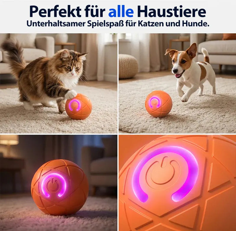 🔥 Intelligenter, selbstständig springender Hundeball 🐾 Hält Ihren Hund in Bewegung, regt zum Jagen an und sorgt für Beschäftigung – auch wenn Sie gerade keine Zeit haben.