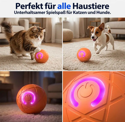 🔥 Intelligenter, selbstständig springender Hundeball 🐾 Hält Ihren Hund in Bewegung, regt zum Jagen an und sorgt für Beschäftigung – auch wenn Sie gerade keine Zeit haben.