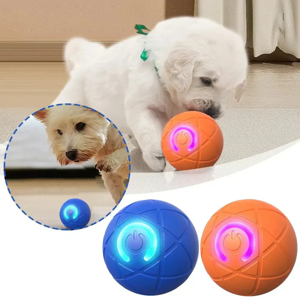 🔥 Intelligenter, selbstständig springender Hundeball 🐾 Hält Ihren Hund in Bewegung, regt zum Jagen an und sorgt für Beschäftigung – auch wenn Sie gerade keine Zeit haben.