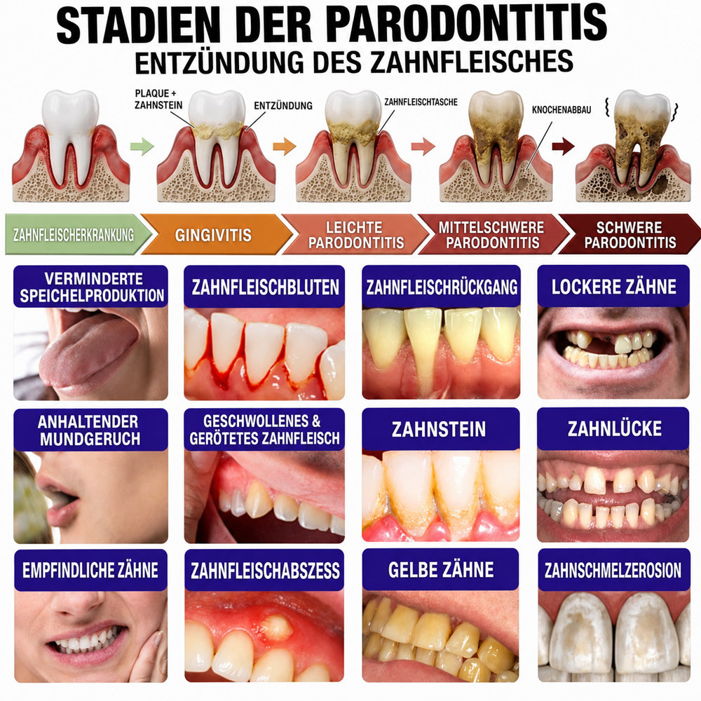 😁Celsiora® GingivaCare Zahnpasta mit Bienengift – Intensive Zahnfleischpflege bei Gingivitis & Parodontitis
